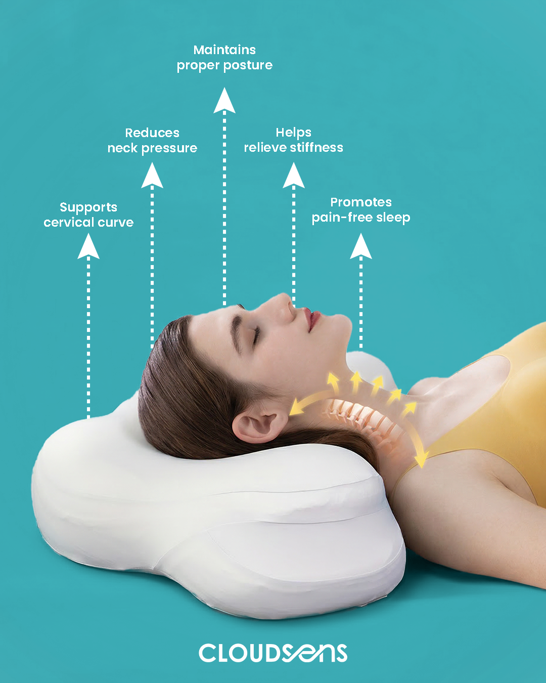 Cervical Support Features